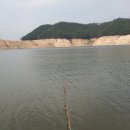 민들레장 이미지