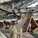 자연사박물관우석헌 이미지