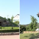 명덕초등학교_건너 이미지