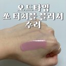 오드타입 소 터쳐블 블러시 수려 발색 후기