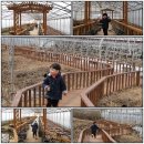 꼬마농부 이미지