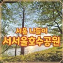 서서울호수동물병원 | 서서울호수공원 너구리 목격 후기 산책하며 찍은 사진