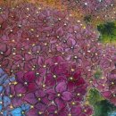 여름을 그리다 이미지