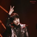 이야이야오 이미지