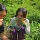 자매하우스민박 이미지