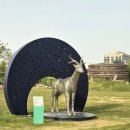 감고당길 | 서울 무료 전시회 야외조각展 후기 열린송현 조각도시 서울 프로젝트