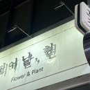 오산대역 꽃집 피어날현 졸업식꽃다발 주문방법,후기