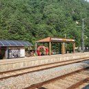 석포주유소 이미지