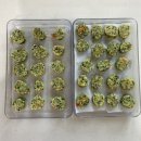 후기이유식 식단표 / 후기이유식 스케줄 / 후기이유식 1단계 / 후기이유식 2단계 /토핑이유식 / 죽...