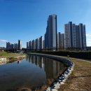 해파랑 이미지