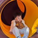 (주)아띠푸드 | 아이랑 1박 2일 대전여행 일정(오월드,국립중앙과학관 꿈아띠체험관,성심당)