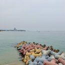강릉베이스캠프펜션 | 강릉 2박3일 여행 코스 추천 가볼만한곳 맛집 지도 총정리