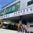 금화왕돈까스고양 이미지