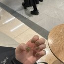 네일레뜨 이미지