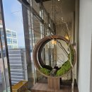 스시돈 | 구미 산동) 초밥 맛집 스시코우 오마카세 퀄리티에 숙성 스시 런치세트 내 돈 내산 후기