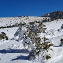 영실기암과 오백나한 이미지