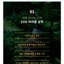 주식회사 바른약품 | [탈모샴푸 추천] 탈모고민엔 SOD에스오디 미라클 샴푸