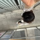 자카르타가 뭐예요?