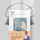 윌라