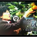 유앤아이해피심리상담센터한국동물매개심리치료학회연구소