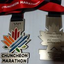 (2019. 10.27) 춘천마라톤 대회 풀코스 완주기 (명예의 전당 입성) 이미지