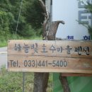 털보낚시 - 화천군 중앙로 39 | 털보낚시