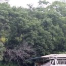 칠갑산자연휴양림 이미지