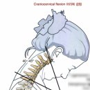 기본 필라테스&피티# 이미지