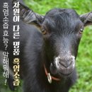 오래건강원