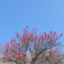 하동불교사