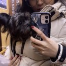 더블유투(W2) | 프롬더블유투 [공중어항 에폭시 케이스] 내돈내산 후기