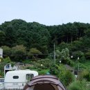 메리지아레 이미지