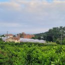 덕송부동산중개사무소 이미지