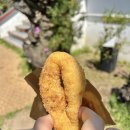 제주도 서귀포 빵집 백한철꽈배기 빵지순례 내돈내산 꽈배기맛집 메뉴추천 웨이팅 정보