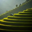 아세안문화박물관 이미지