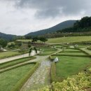 울산하늘공원 이미지