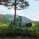 [골프]27홀 평일 기준 14만원, 가심비 구장 중원CC