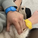 서울청각센터 광안지점 | 서울 연인과 특별한 시간을 보낼 수 있는 4233마음센터 압구정점 후기