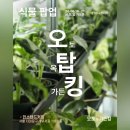 가든킹 | [서울 홍제역] 오탑킹, 오토 옥탑 가든킹 팝업 후기