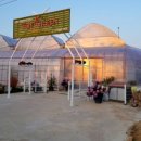 그린쇼핑센타 이미지