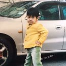 우진 Daum카페