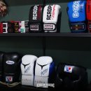 코리안복싱센터 이미지