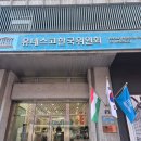 내돈내산 비염인의 성지 유명한 명동 한피부과 후기