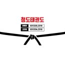 용인청도태권도장