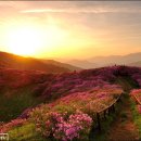 지리산 이미지