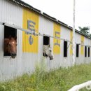 통도승마랜드 이미지