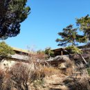 대산도예