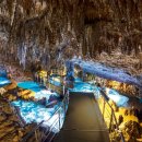 스테이 종이와 나무 이미지