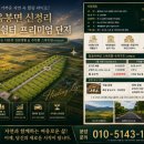 신정리민박 네이버블로그