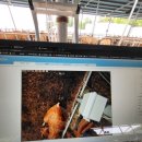 영주농장 이미지